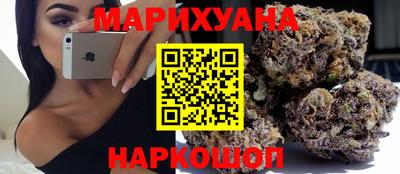 Альфа ПВП Бердск