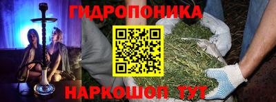 соль ск Боровичи